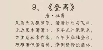 肖复兴的名言
