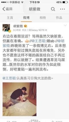 最经典的胡紫微经典名句