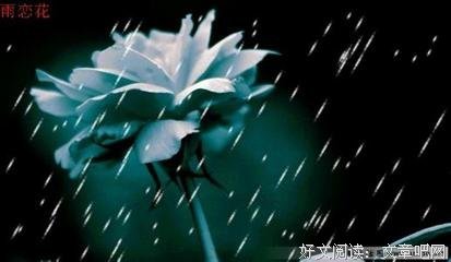最经典的《更漏子》好段摘抄