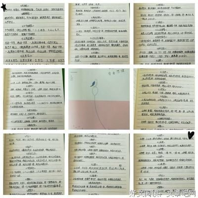 最经典的《有心人》语录摘抄
