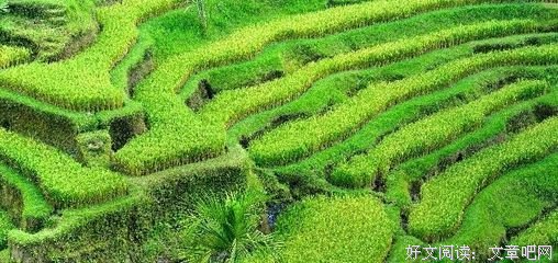 《有没有》经典的句子大全