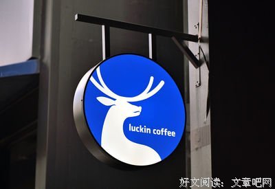 45岁田雨情史曝光：和汤唯同居，“抛弃”俞飞鸿，因倪妮上热搜，