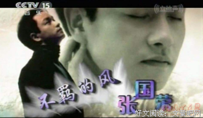 《不羁的风：张国荣亲笔图文随笔集》的读后感大全