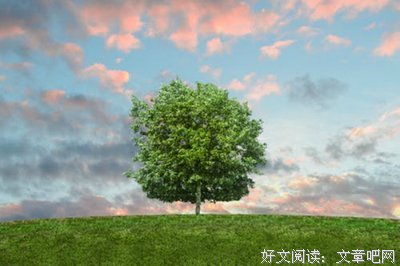 现在是图解作文时代经典读后感有感
