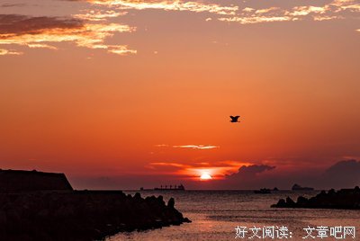 《追逐太阳的男人》读后感100字