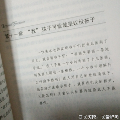 《如果狗狗们自由奔跑》读后感锦集