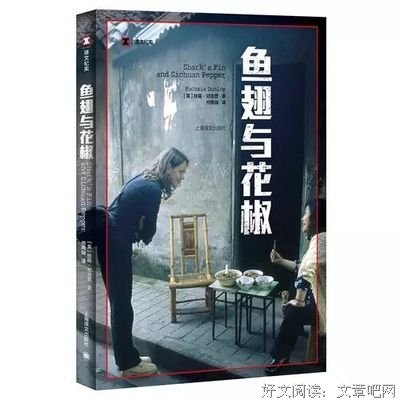 鱼翅与花椒读后感摘抄