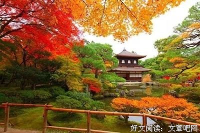 《人为百兽命名》读后感精选