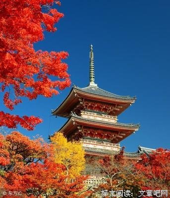 《王阳明心学》经典读后感有感