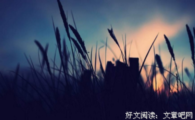 15条关于细水长流的经典语句