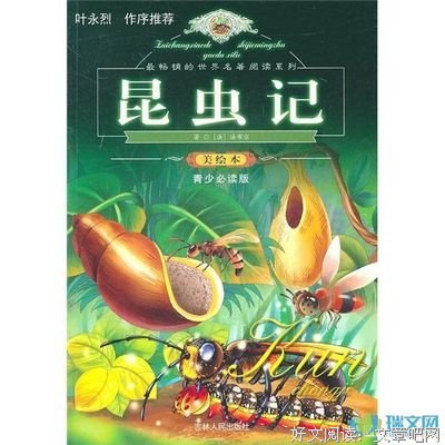 那不勒斯的萤火经典读后感有感