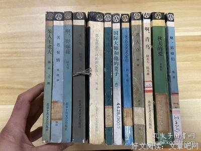 《流浪者之歌》读后感锦集