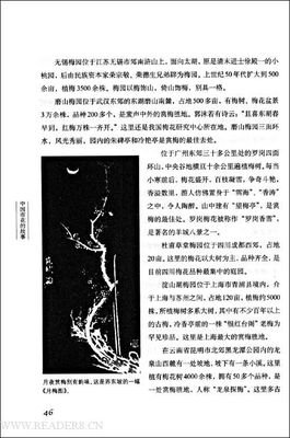 《从前小桃园》读后感100字