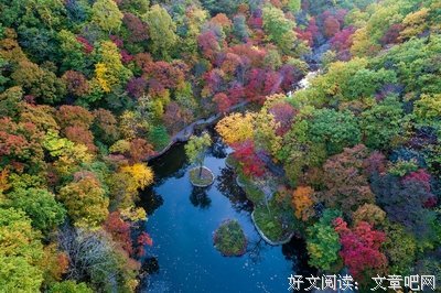 《宿醉》的影评大全
