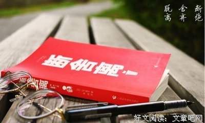 双眼台风读后感100字