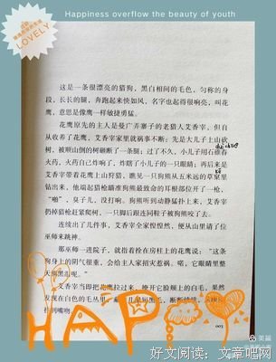 《巴别塔之犬》读后感1000字