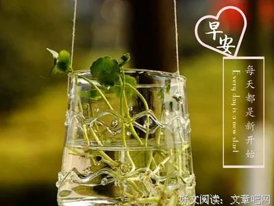 青云与短句的优美句子