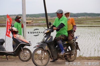 大来我风的生钟作时十名句欣赏