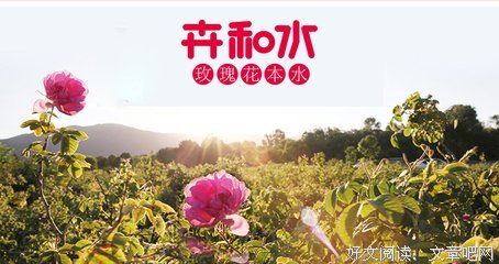 有关电影锦句的句子
