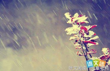 关于光与风与梦的句子