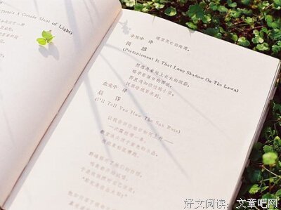 关于尽我所能的句子