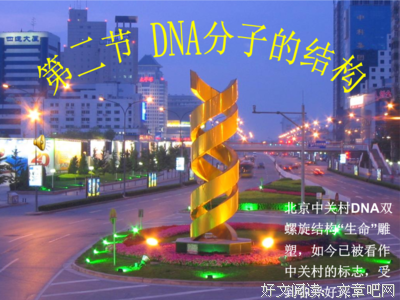 苏和青名言