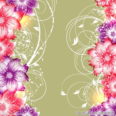 最新的《梦幻花》经典语录