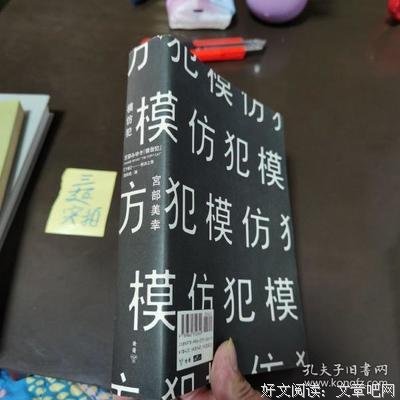 最全的《模仿犯》小说摘抄大全