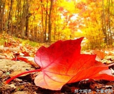 最全的《檀香刑》名句欣赏