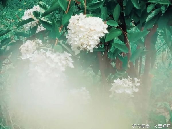 又是人间三月斗芳菲