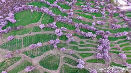 不如雅致过生活读后感1000字