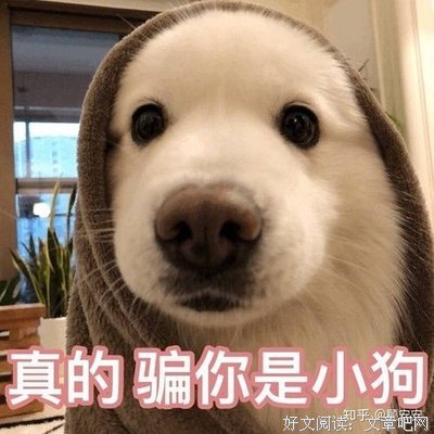 典藏版：知否知否应是绿肥红瘦（一）读后感摘抄
