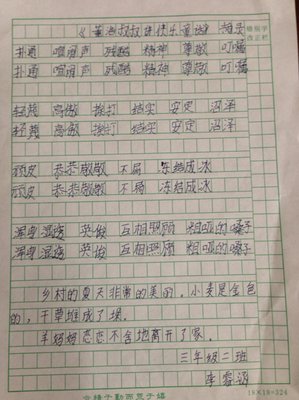 《女王的影子》读后感100字