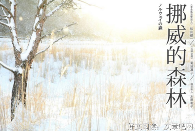 流浪地球读后感1000字