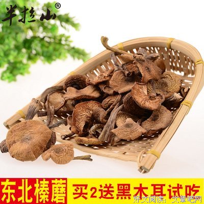 《下午过去了一半》经典影评集