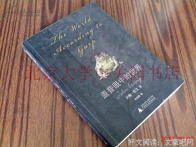 《盖普眼中的世界》读后感锦集
