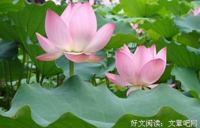 《职场自我成长》读后感100字