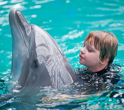 水族馆之谜读后感锦集