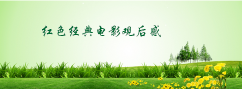 《Cocco的无止尽之旅》经典观后感有感