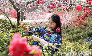 祝友俊的句子