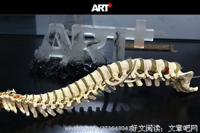 有关素素素材的句子