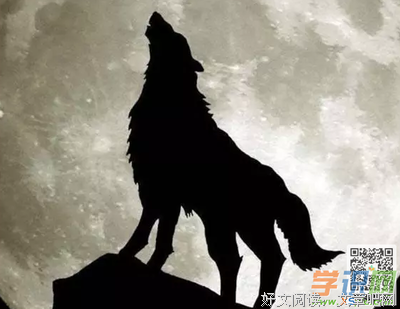 狼图腾好词好句