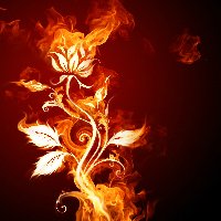 L☆ve洛玲灬forever好词好句