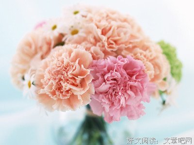 关于红楼梦的优美句子