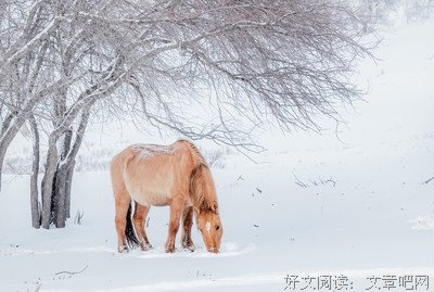 冬日饮雪经典的句子