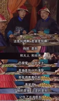 千叶集句子大全