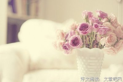 收了纪伯伦这颗安好出句子