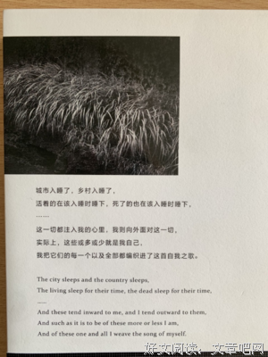 自我之歌读后感锦集