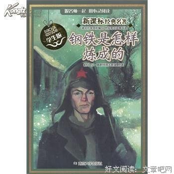 孔子是怎样炼成的读后感锦集