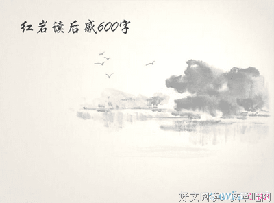 晚熟时代读后感100字